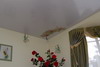 Опънат таван бял гланц с фотопринт в ъгъла - Цвете.